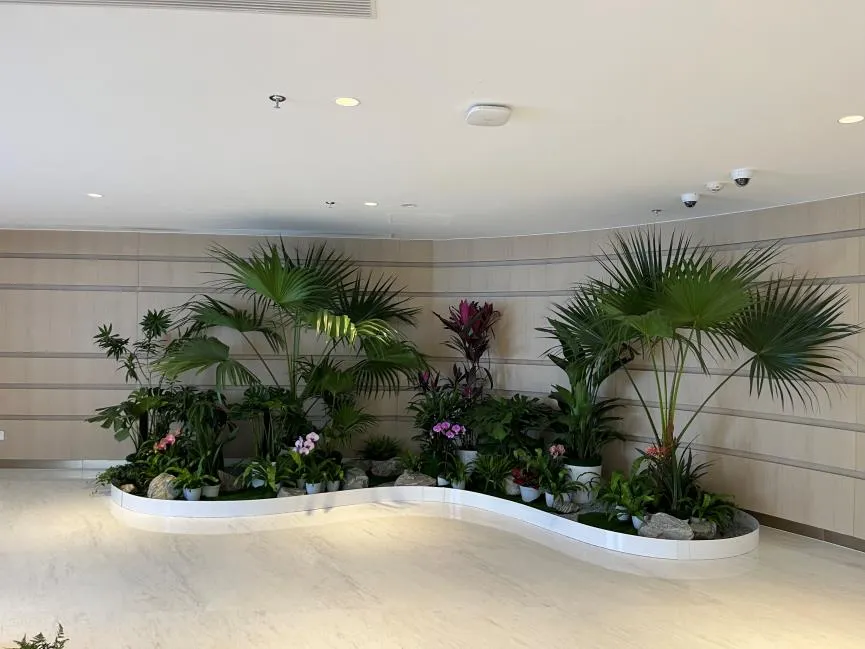 慈溪植物租摆设计